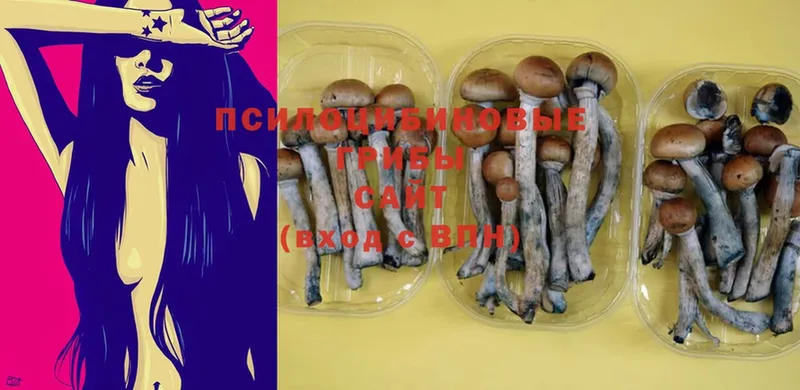 где найти наркотики  Нефтегорск  Галлюциногенные грибы MAGIC MUSHROOMS 